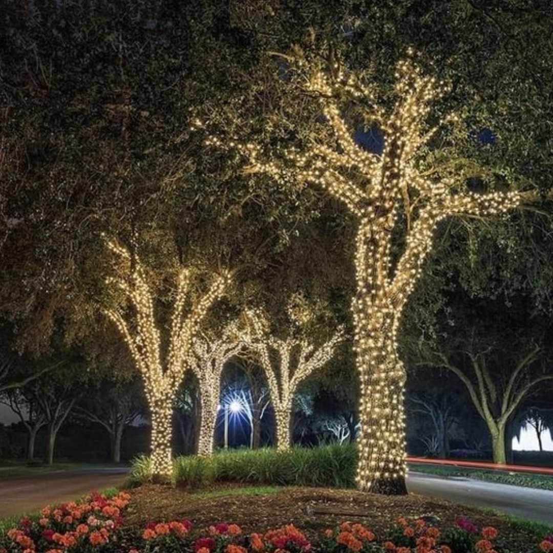 Fairy Light Hire Decorative Lighting Sydney
