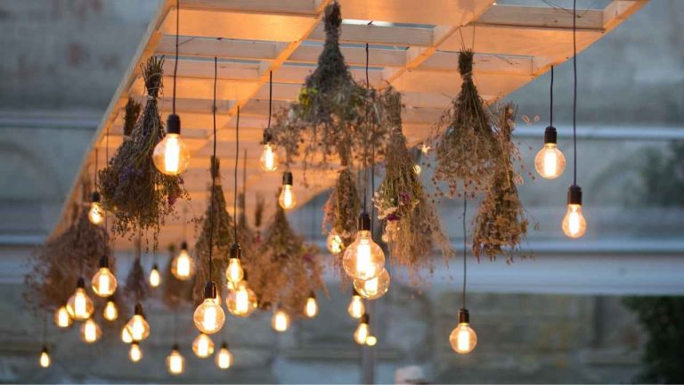 beautiful DIY festoon lights hanging from wooden board in garden