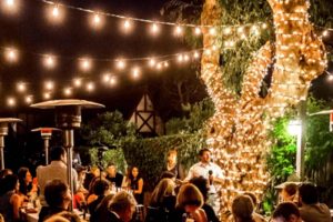 Outdoor fairy lights wrapped around a tree with festoon lighting hanging above commercial outdoor garden