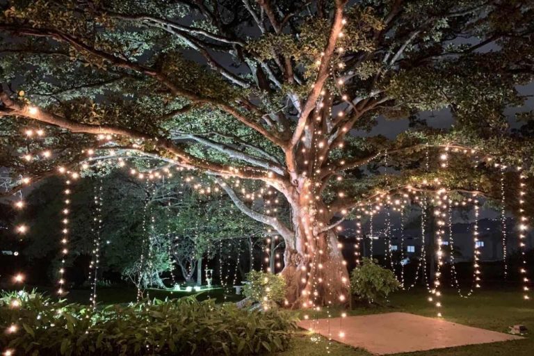 Festoon set-up at your venue in Central Coast