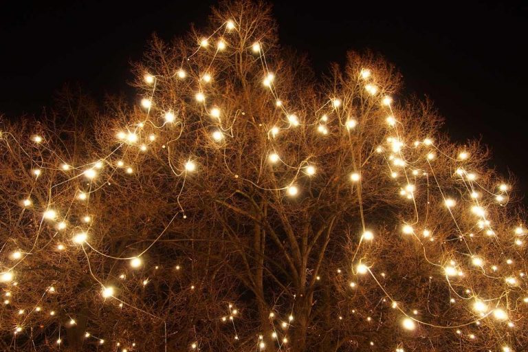 Hire your own DIY festoon or fairy lights for your event