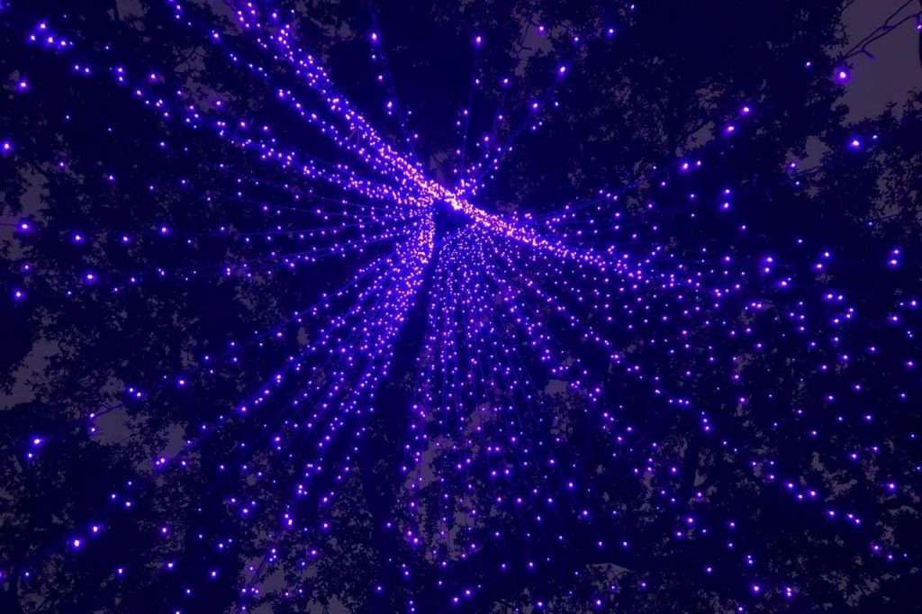 Purple canopy of fairy lights on the ceiling illuminated in the dark