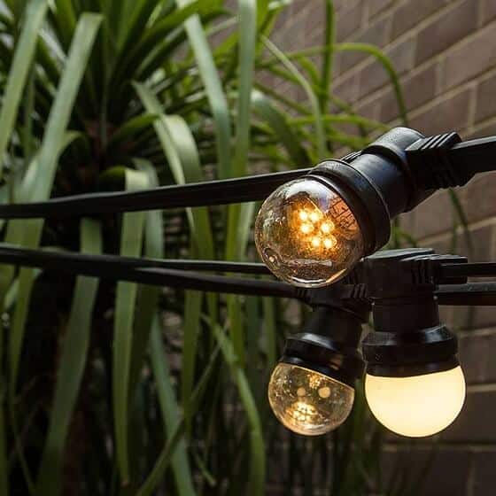 festoon light with black cable hanging in garden with plant in background