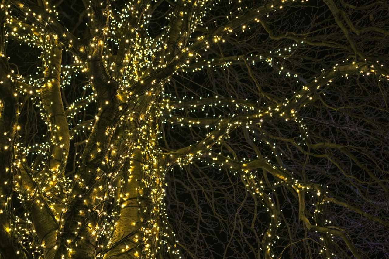 Permanent Outdoor LED Decorative Light Installation Sydney