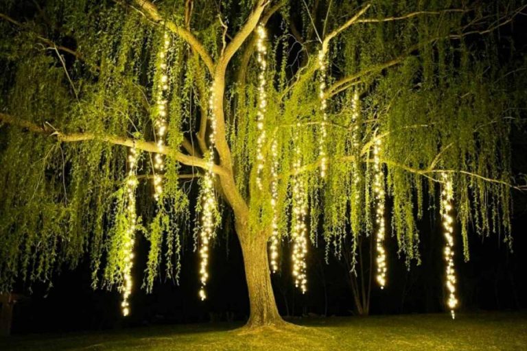 Magical event decoration brightening up a wedding.
