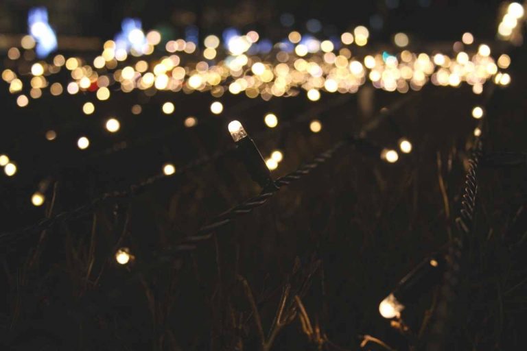 Sparkling fairy lighting brightening up a party.