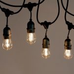 Premium light bulbs in Blacktown, New South Wales, Australia