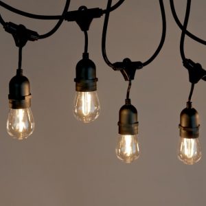 Buy festoon lights in Marrickville