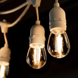 Buy festoon lights in Hunter Valley