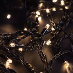 Shatterproof LED bulbs in Woollahra