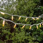 Shatterproof LED fairies in Ashfield, New South Wales, Australia