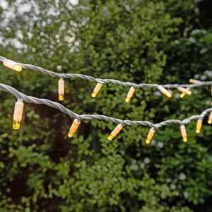 Buy festoon lights in Glebe