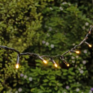 Buy festoon lights in Manly