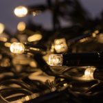 Shatterproof light bulbs in Annandale, New South Wales, Australia