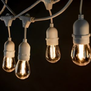 Buy festoon lights in Surry Hills