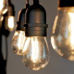 Premium light bulbs in Dover Heights