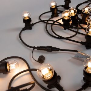 Buy festoon lights in Rose Bay