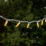 Our festoons are safe both indoor and outdoor perfect for spaces in Rose Bay