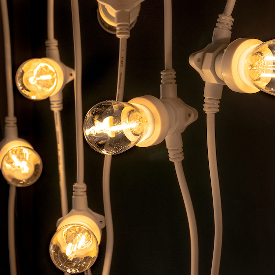 Illuminated Festoon Light