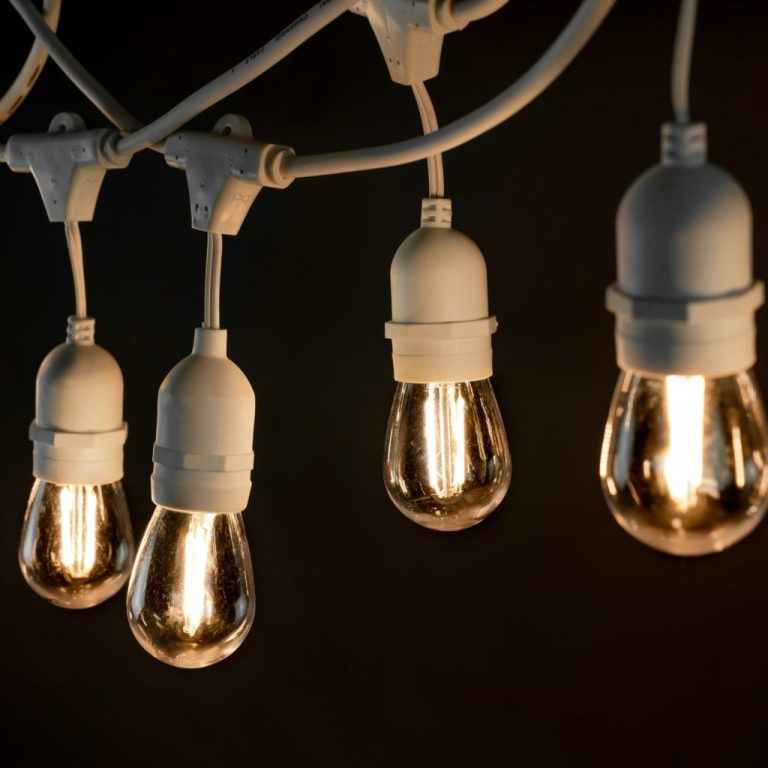festoon lights with bulbs in white on black background