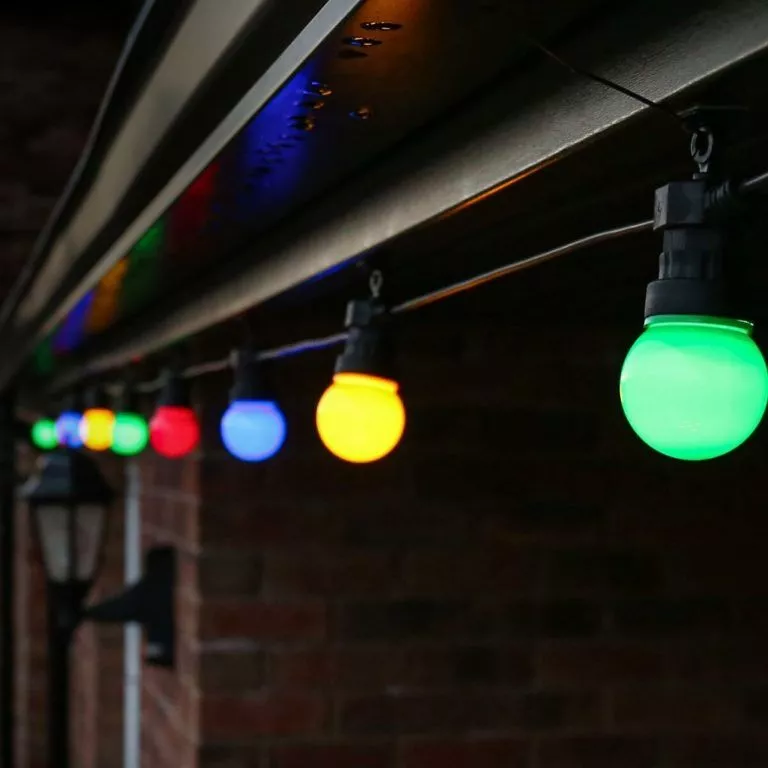 coloured festoon bulbs