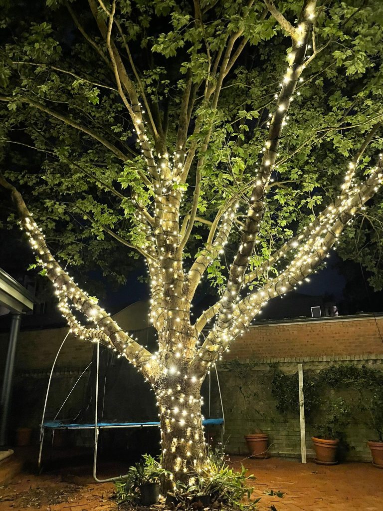 tree fairy lights installation Sydney
